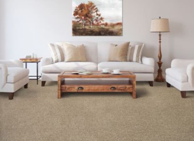 Color Fusion II in Rum Cream Carpet