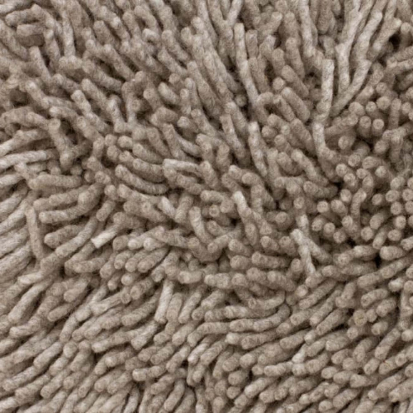 Westwind in Platinum Carpet