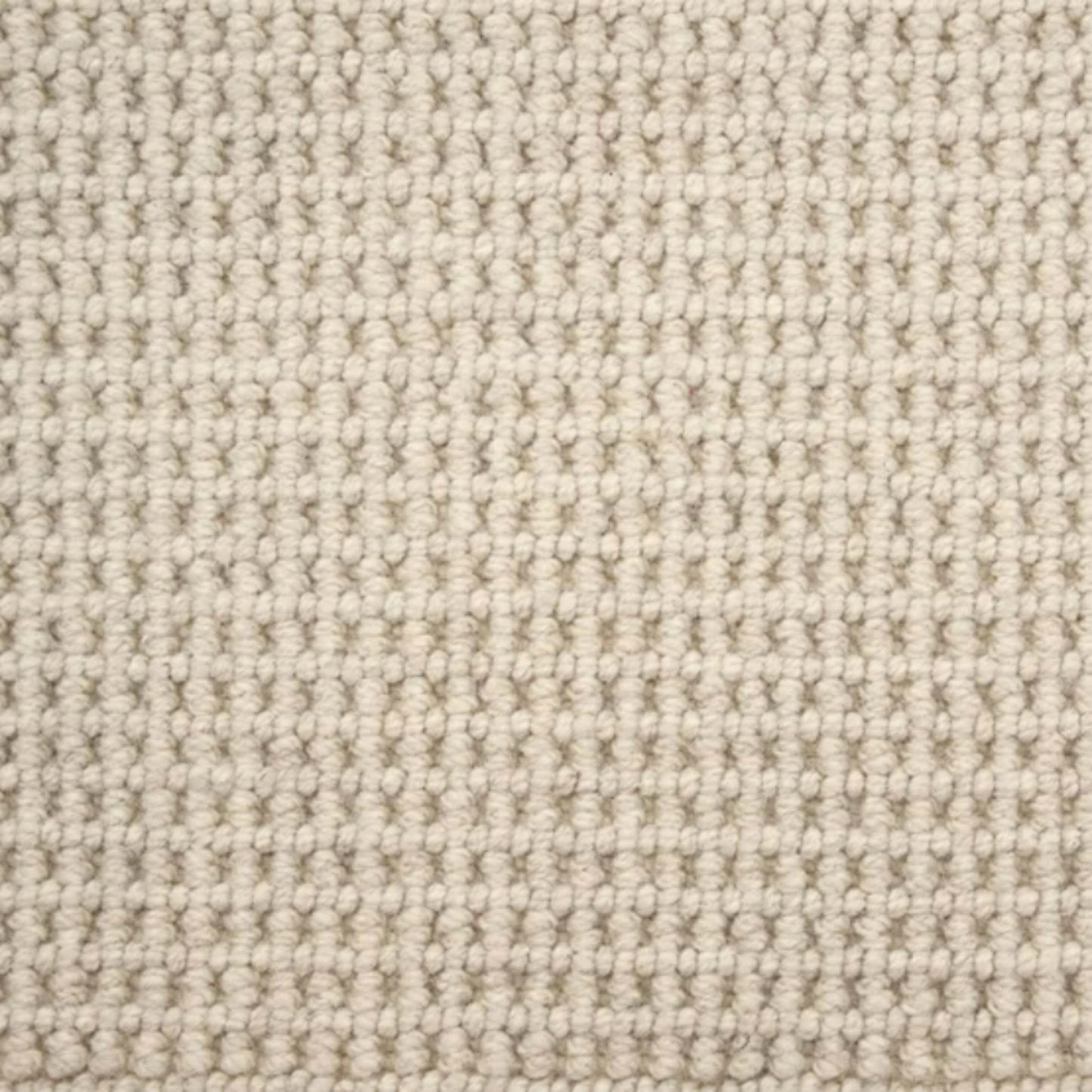 Sita in Sand Dollar Carpet