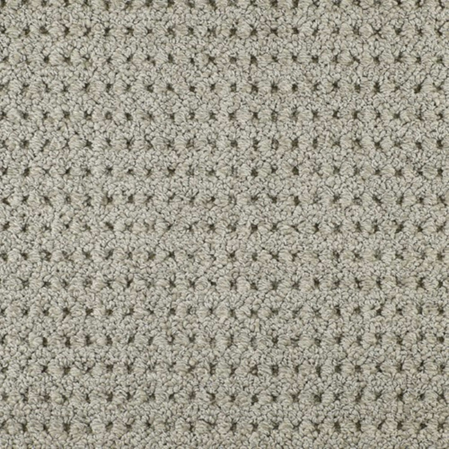 Savanna Weave in Bogota Carpet