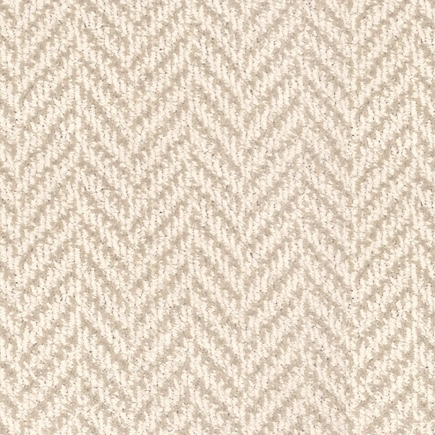 Sagamore in Dove Carpet