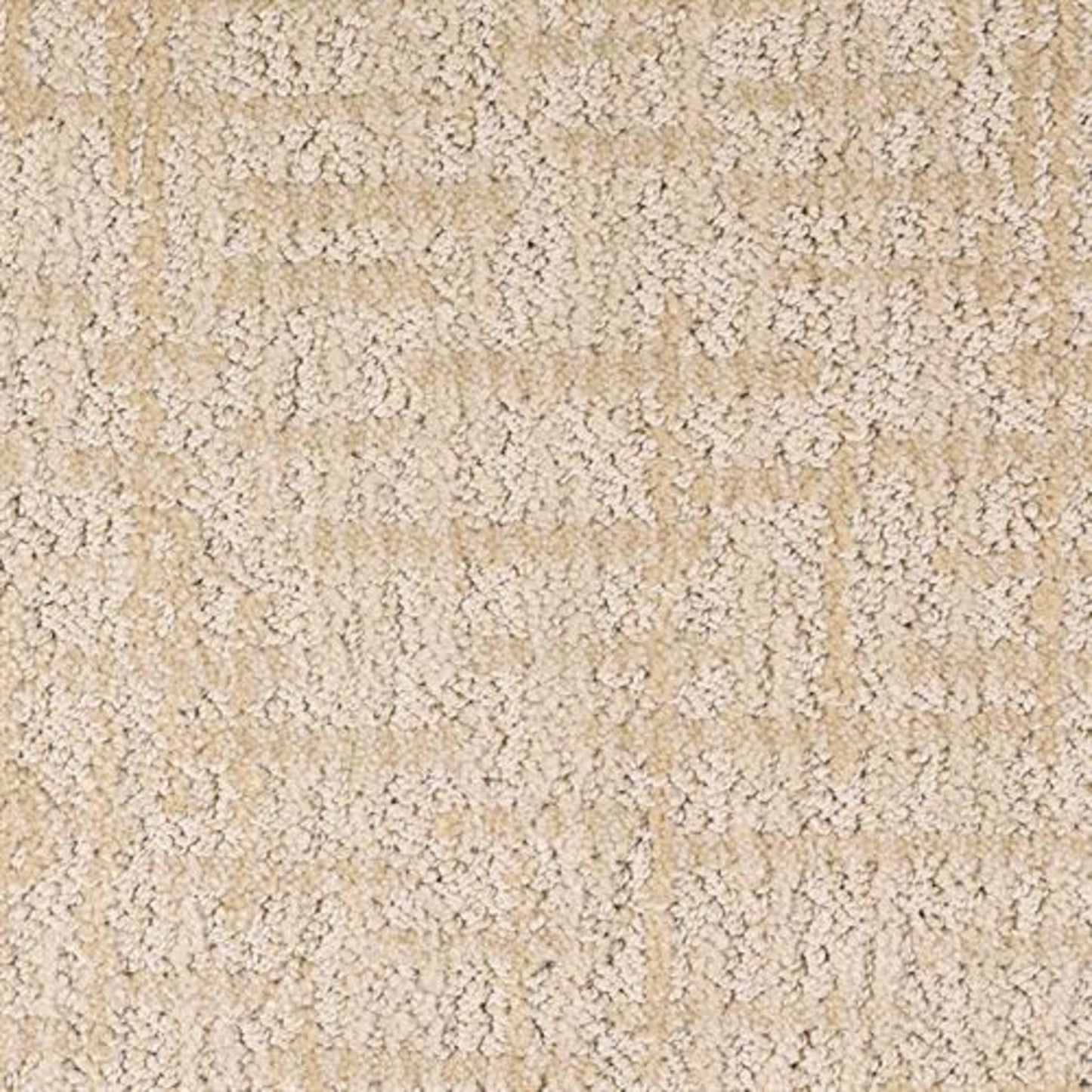 Teton in Sandstone Carpet