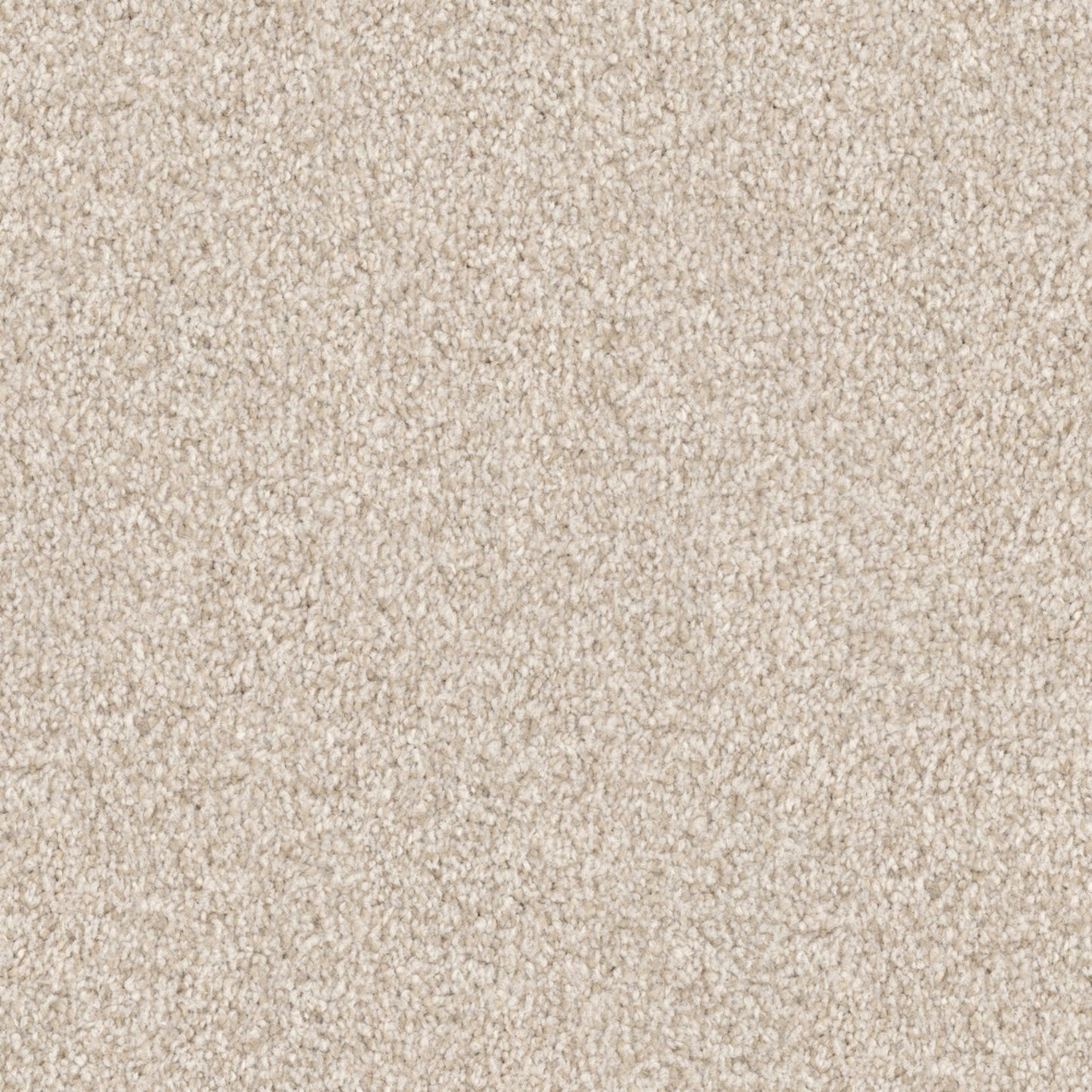 Santa Rosa in Starfish Carpet