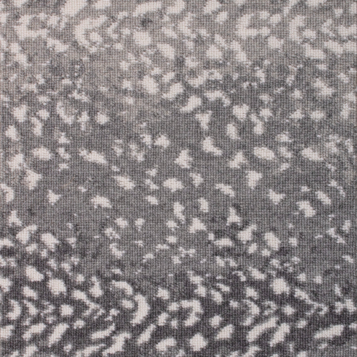 Wild n Wooly - Leopard