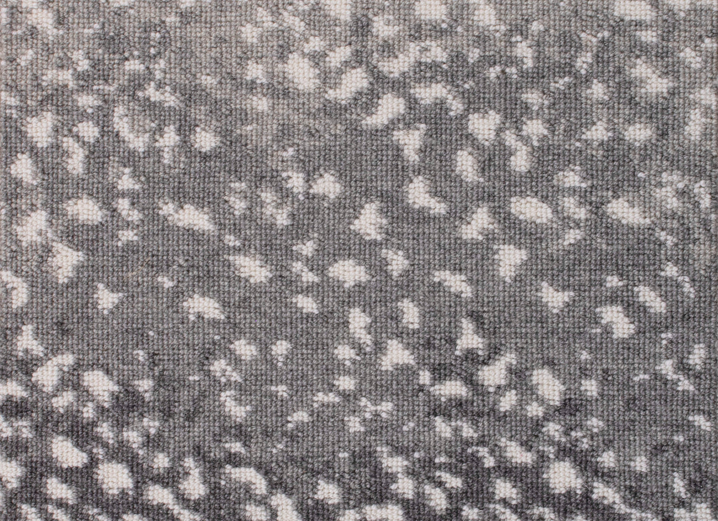 Wild n Wooly - Leopard