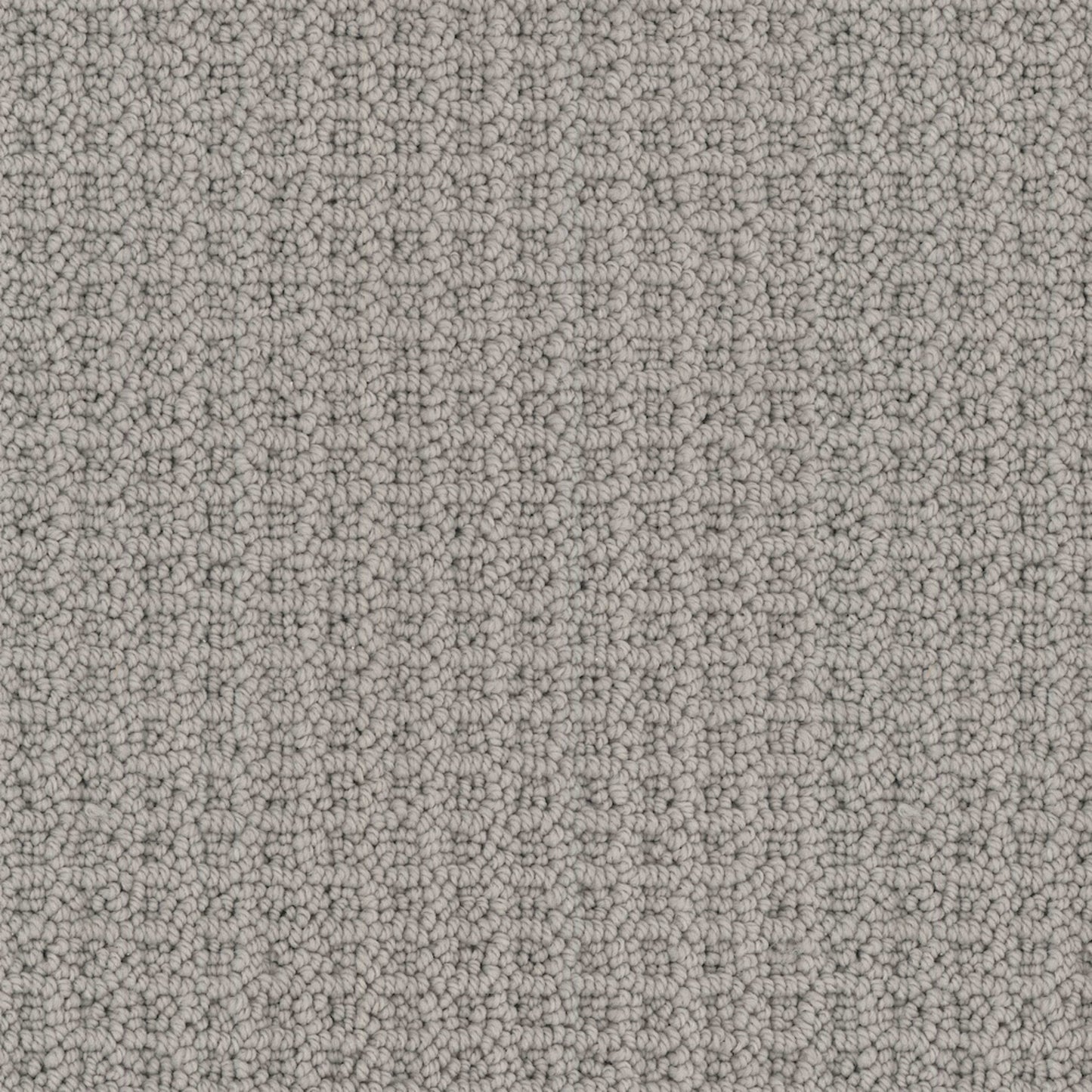 Seascape in Dolphin Grey Carpet