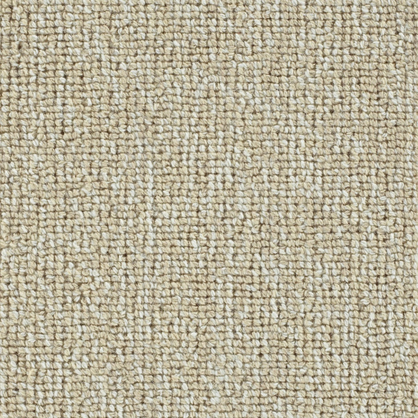 Seaside in Linen Carpet