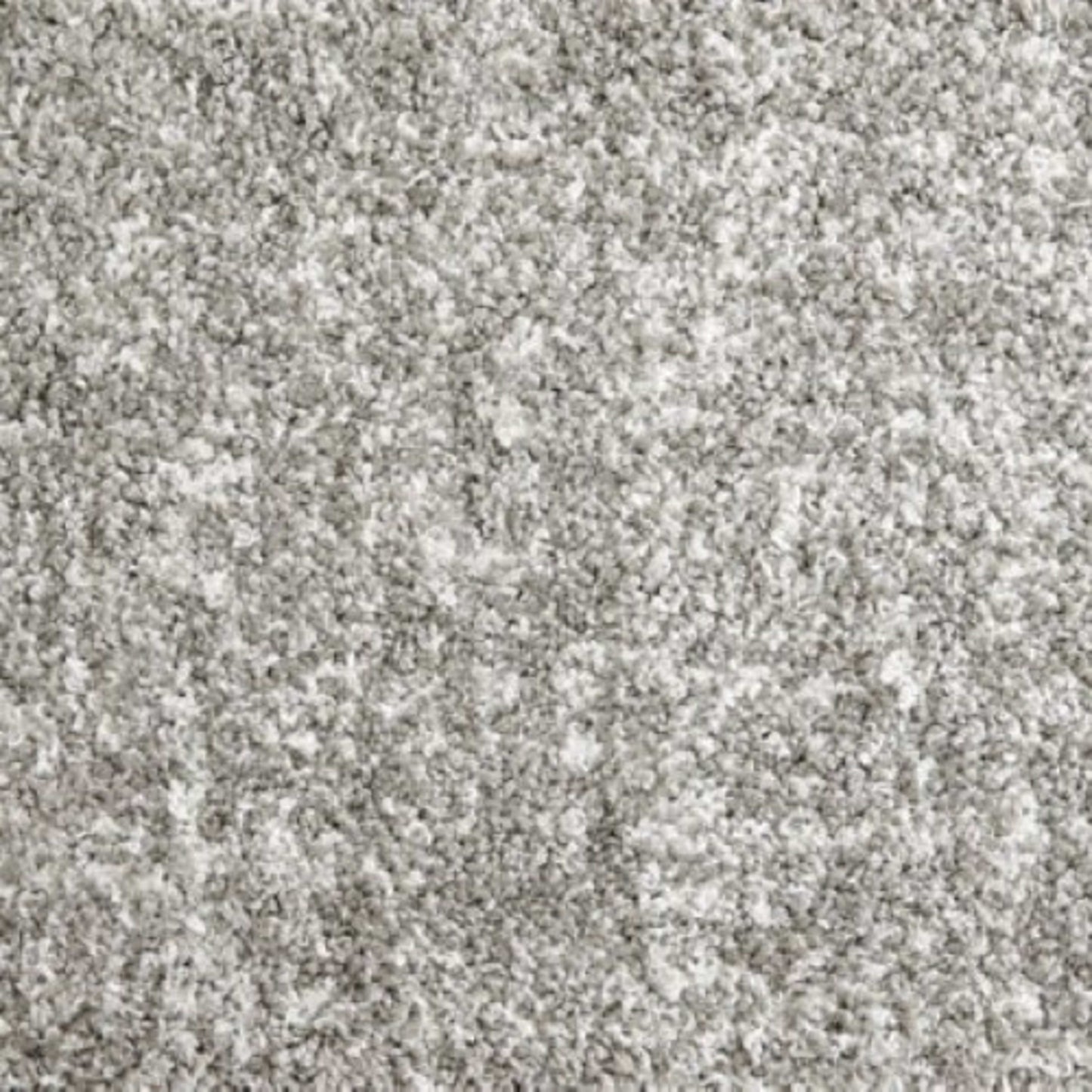 Shaggy Superstar in Silver Carpet