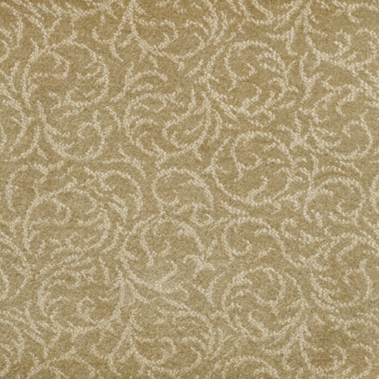 Shining Star in Beige Carpet