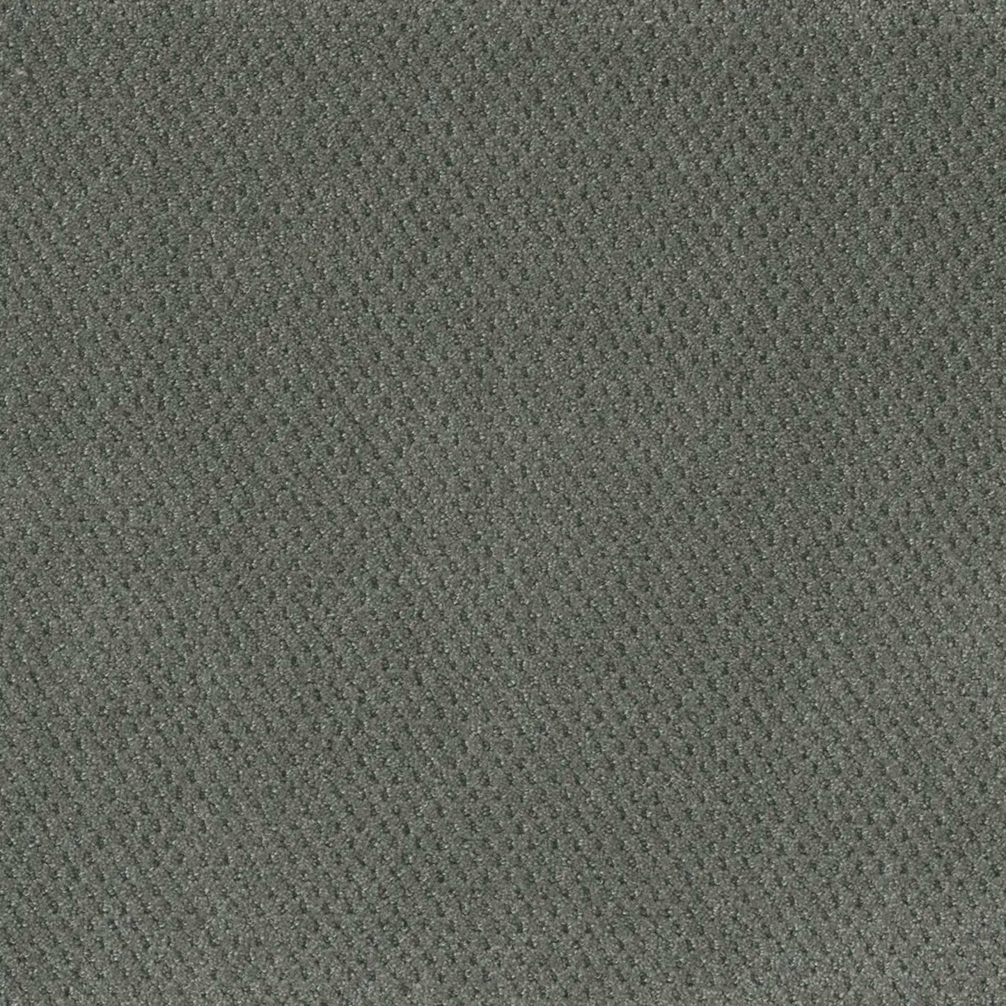 Prime in Skyway Carpet