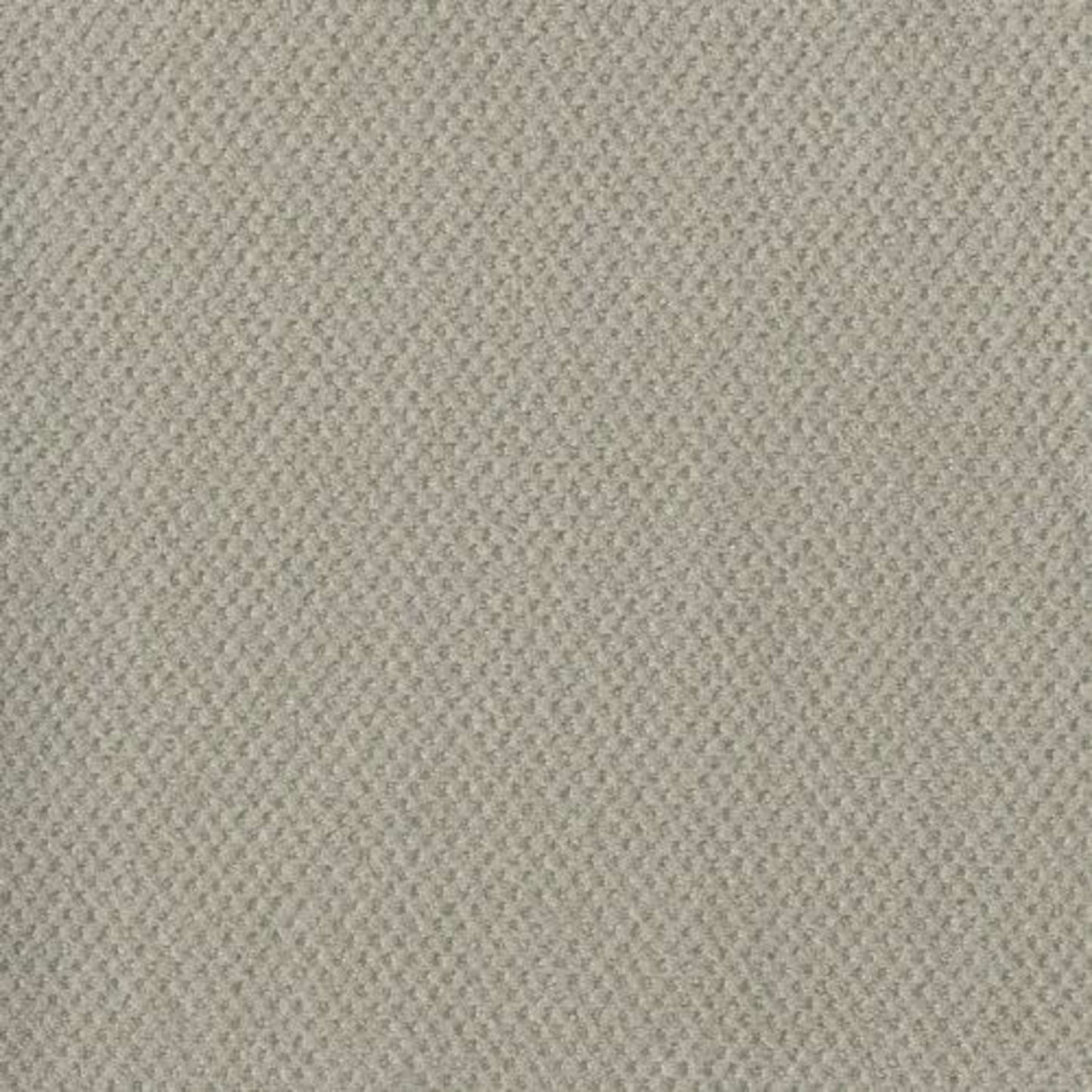 MOON BAY in Snow Cap Carpet