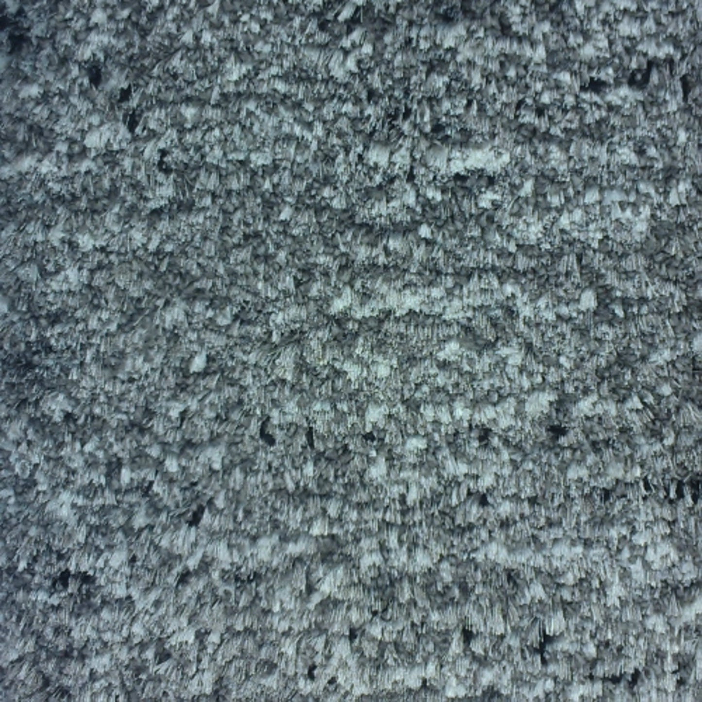 Renaissance in Squire Carpet