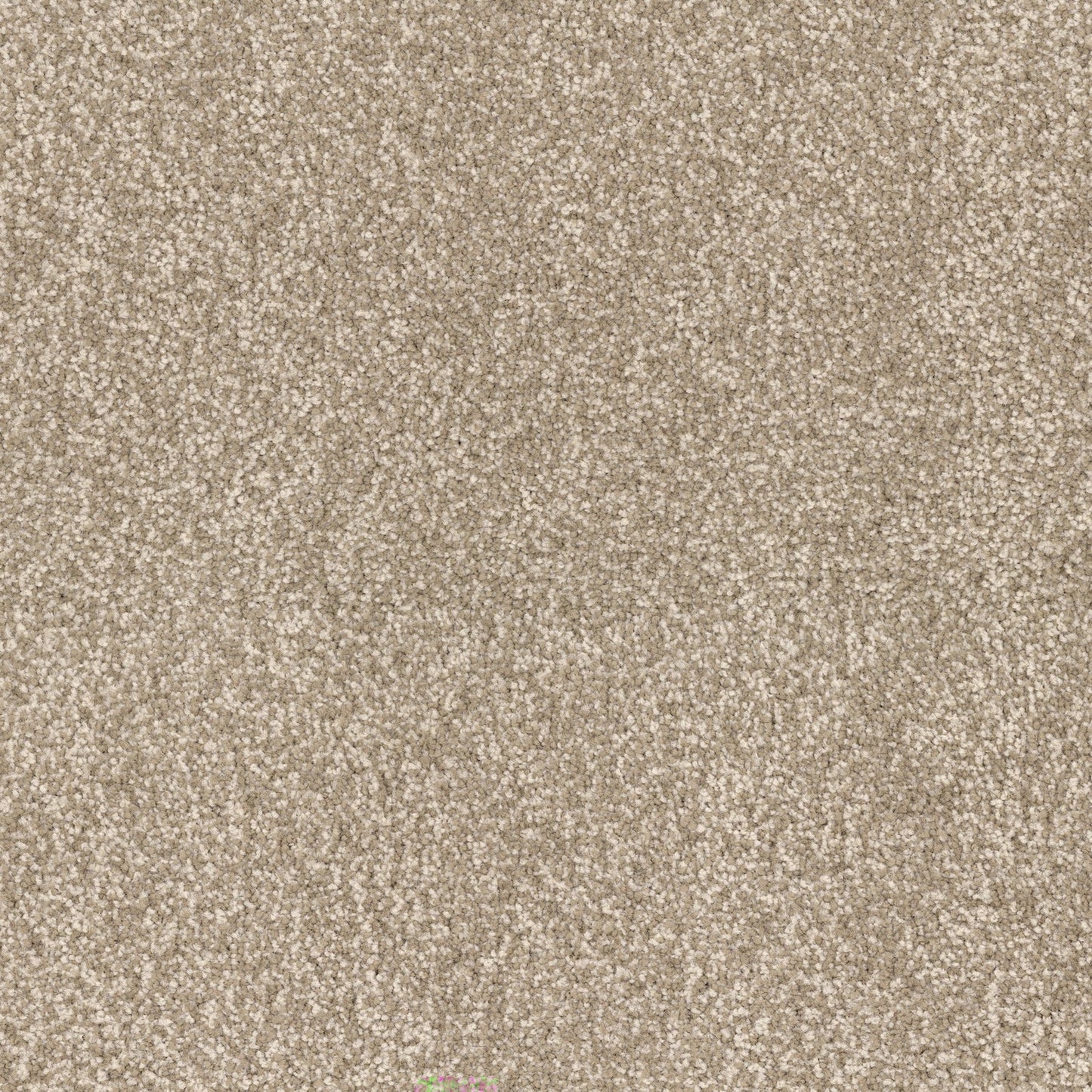 Summer Escape in Bungalow Carpet