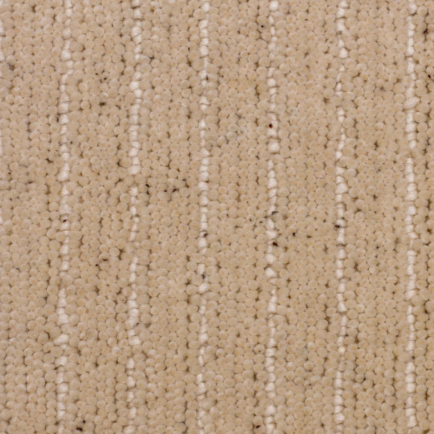 Pathway in Fleece Carpet