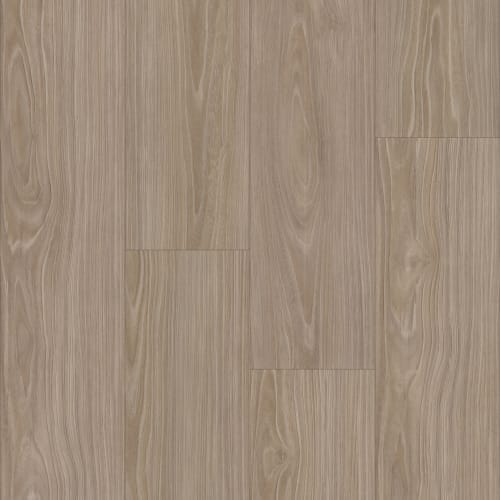 eNergy Flex - Dry Back