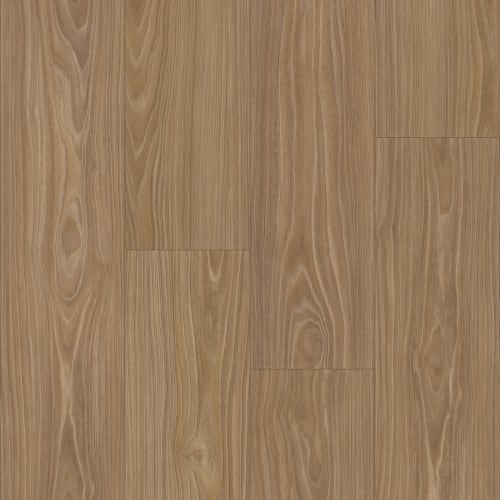 eNergy Flex - Dry Back