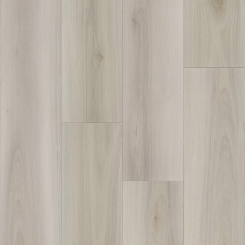 eNergy Flex - Dry Back