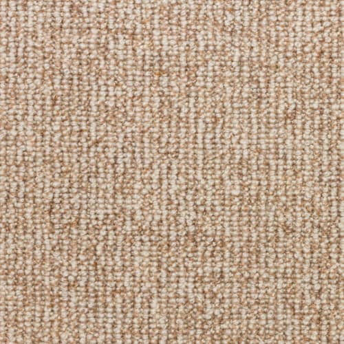 Calico