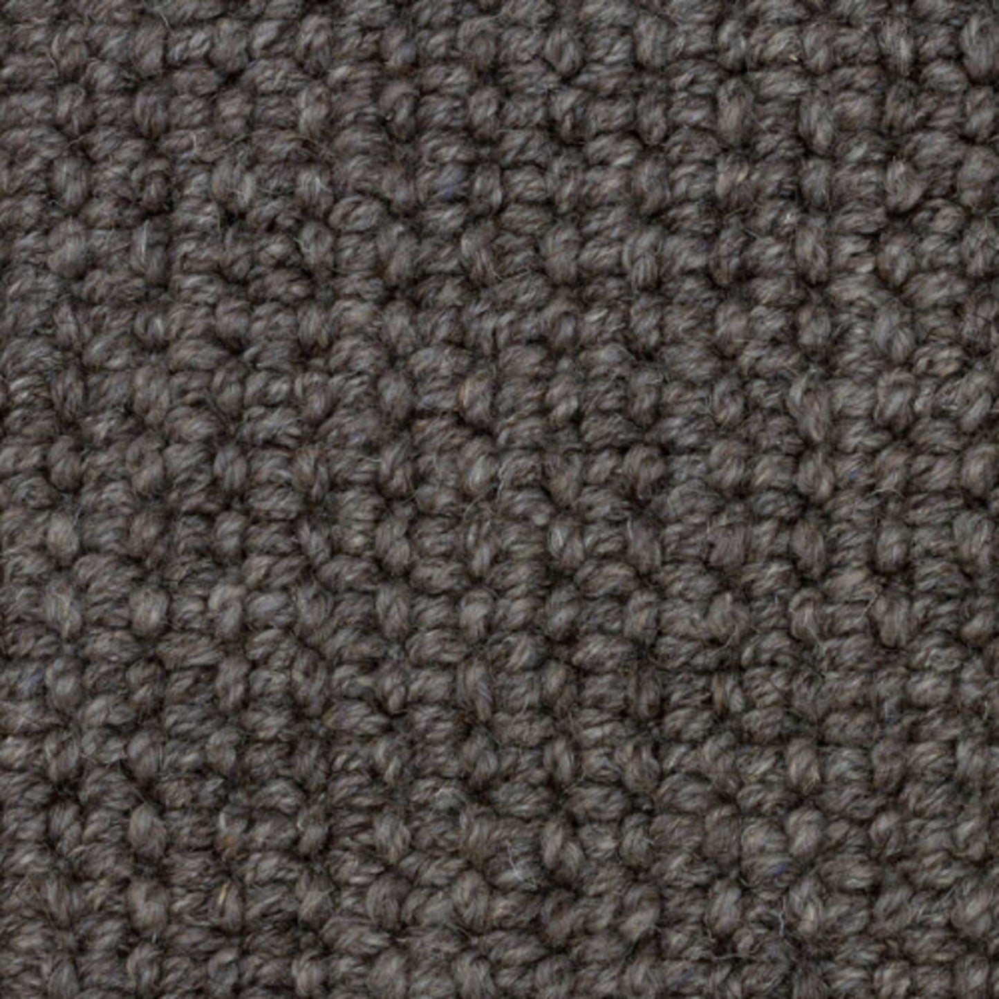 Inverness in Castle Gray Carpet