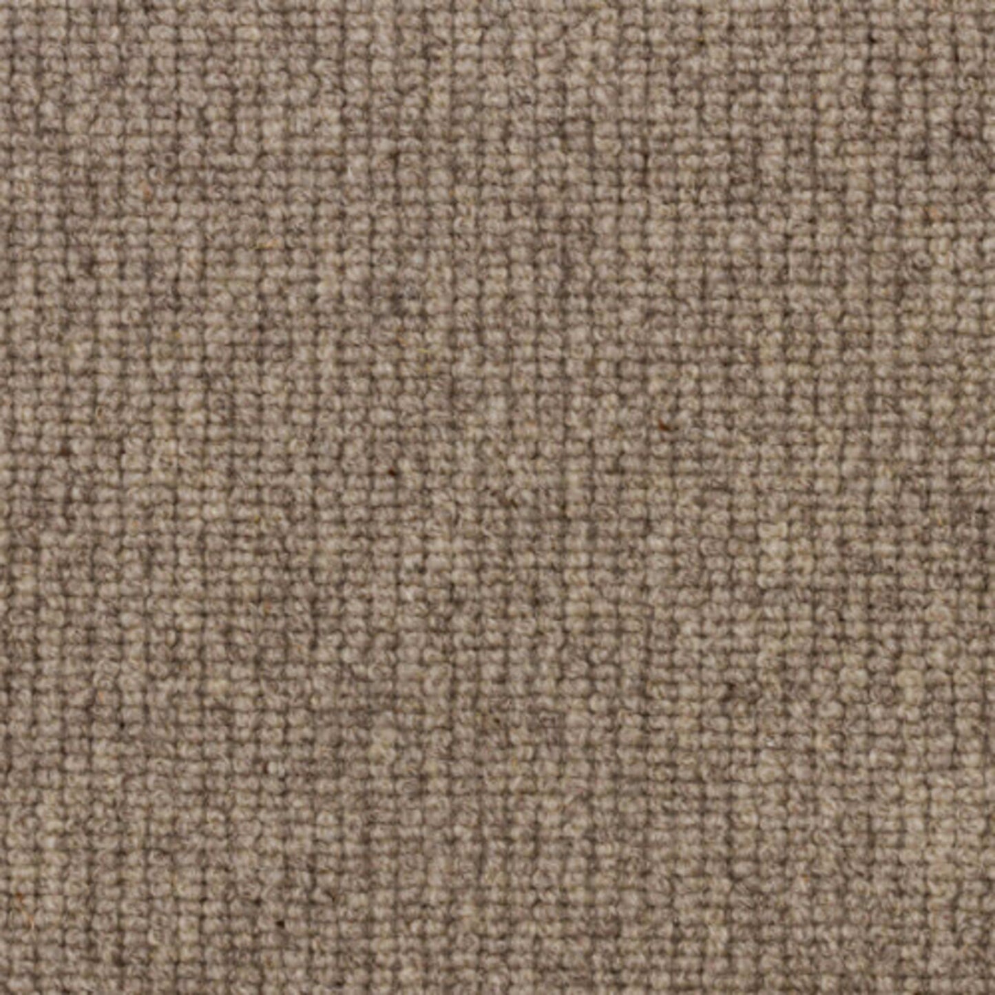 Littleton in Harbor Fog Carpet