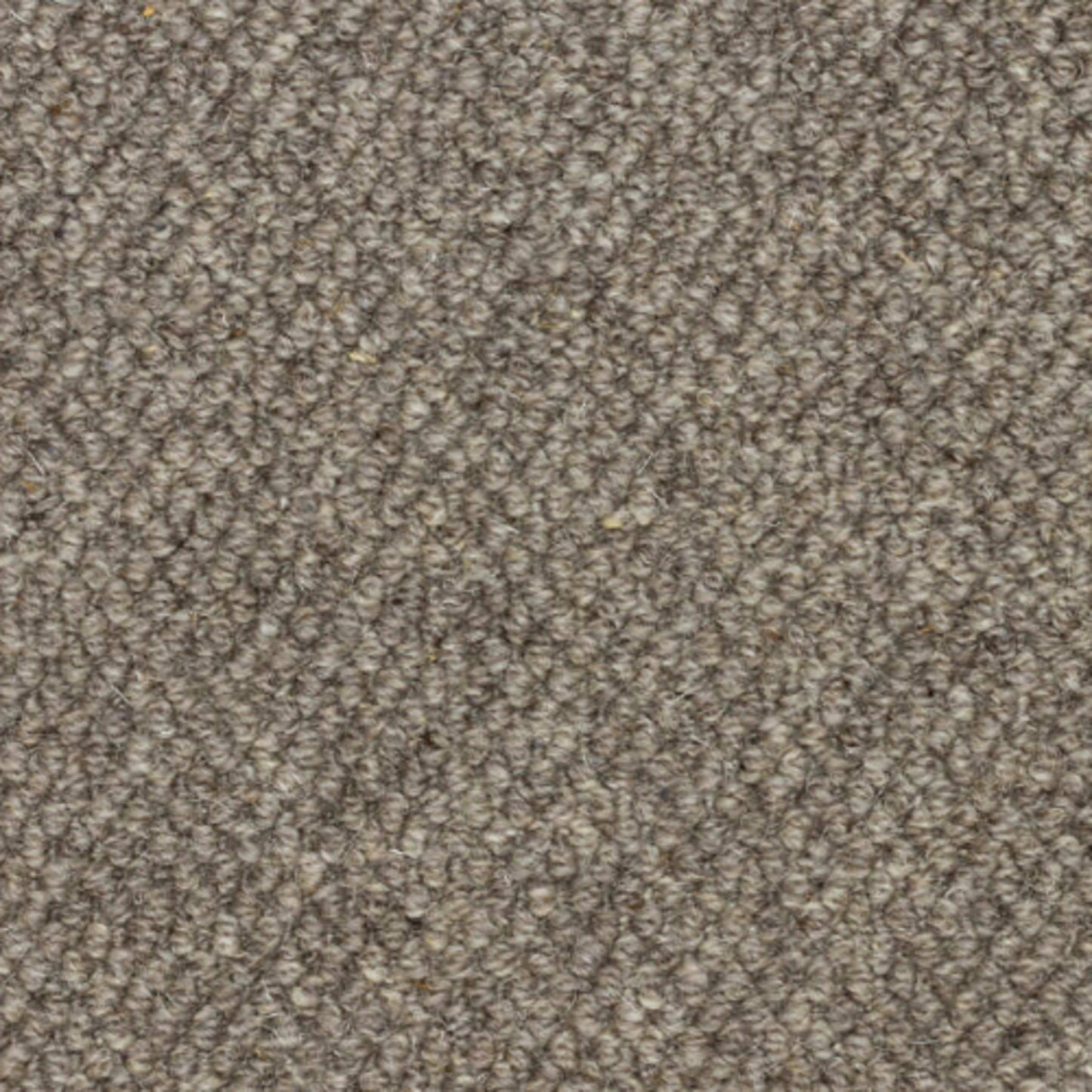 Midtown Grays in Skyline Carpet