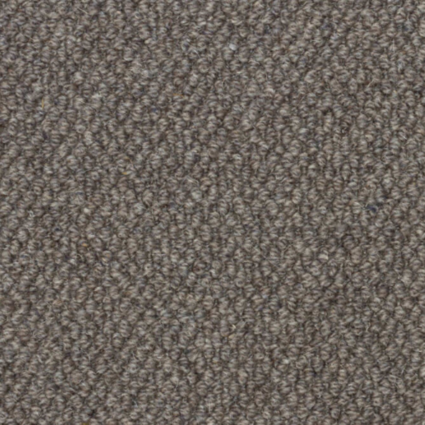Midtown Grays