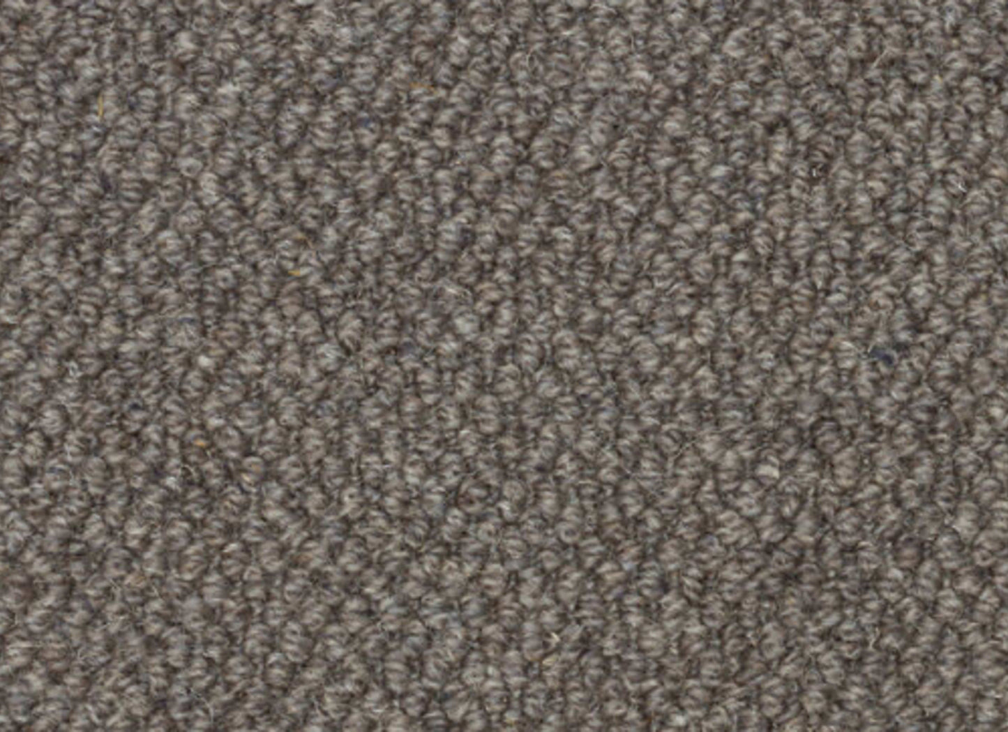 Midtown Grays
