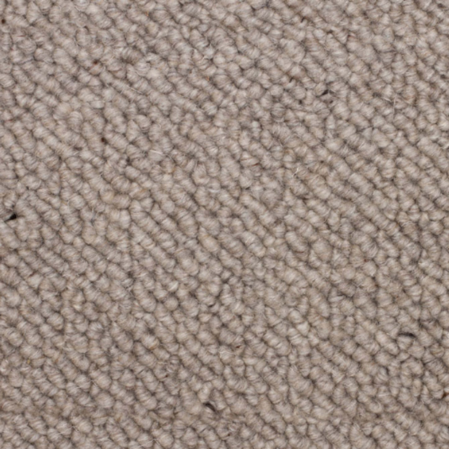 Troy II in Antique Pewter Carpet