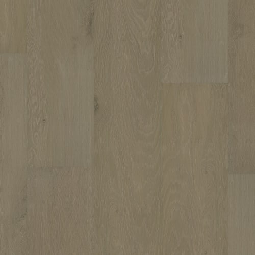 3DP Collection