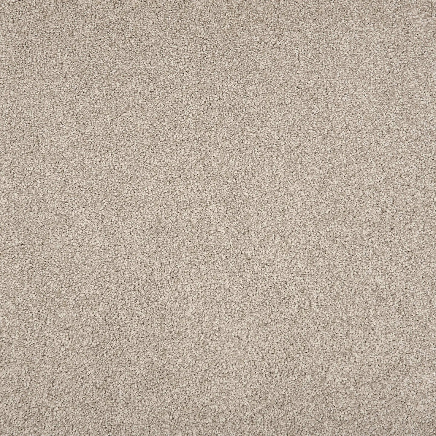 Tristan Plush II