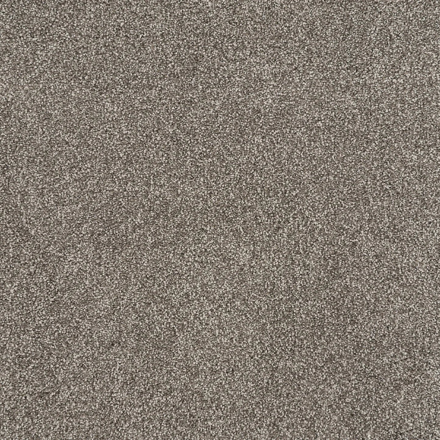 Tristan Plush I in Fossil Carpet