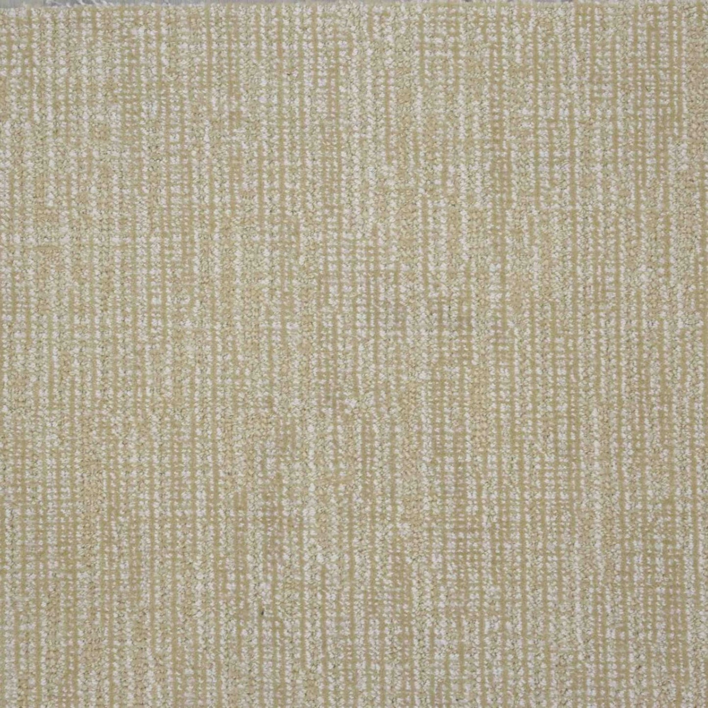 Vigor in Golden Carpet
