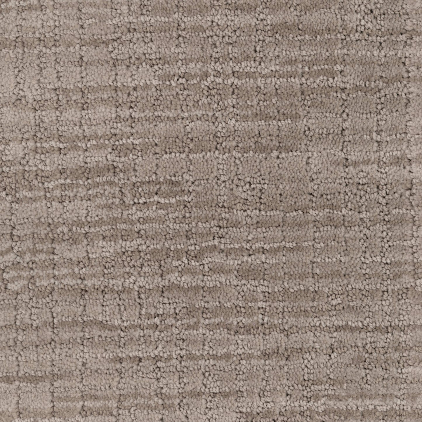 Vision in Driftwood Carpet