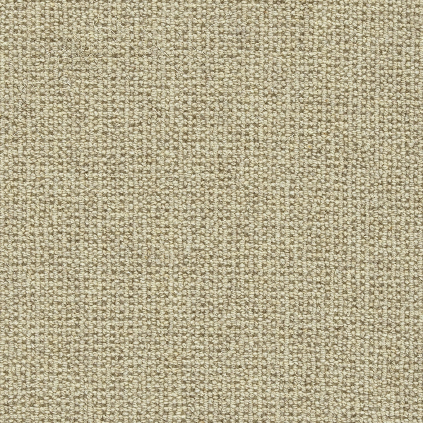 Washington Square in Heirloom Carpet