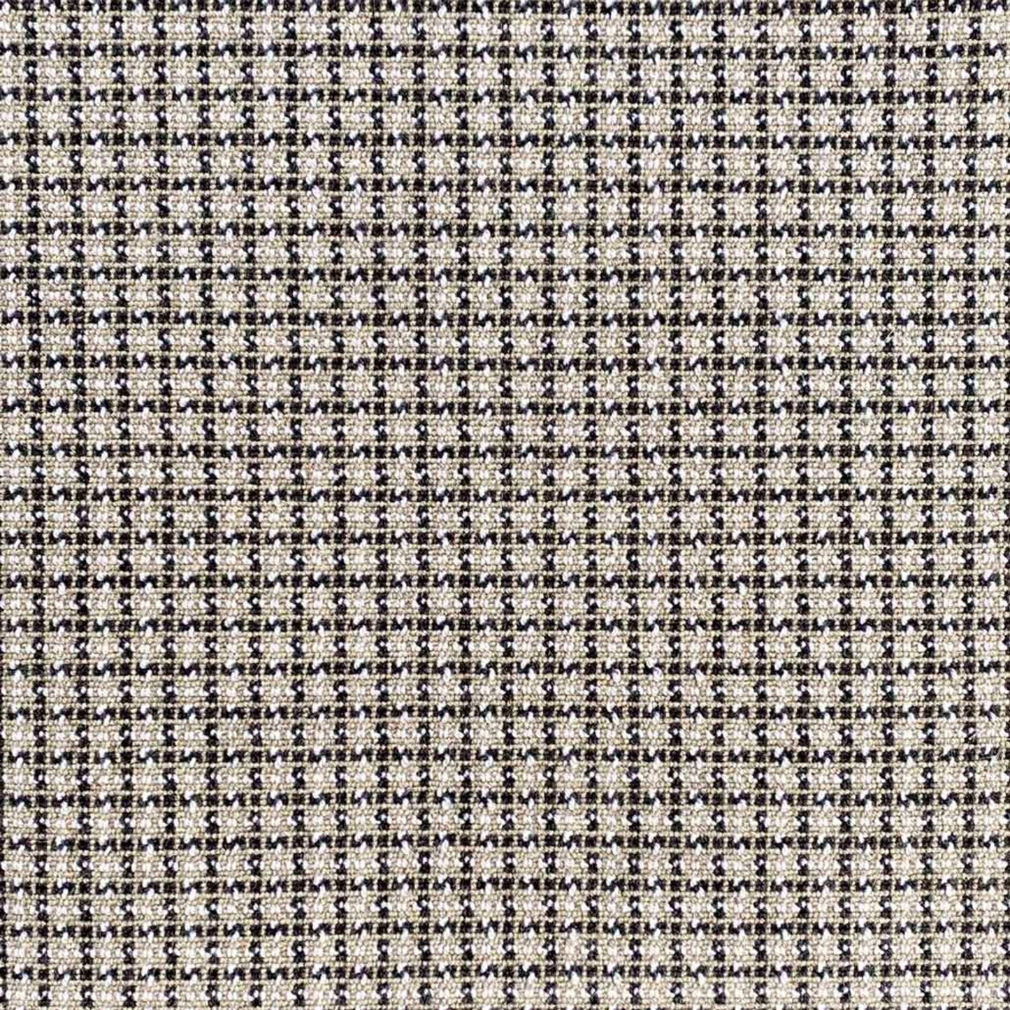Wild n Wooly - Chalen in Charcoal Carpet