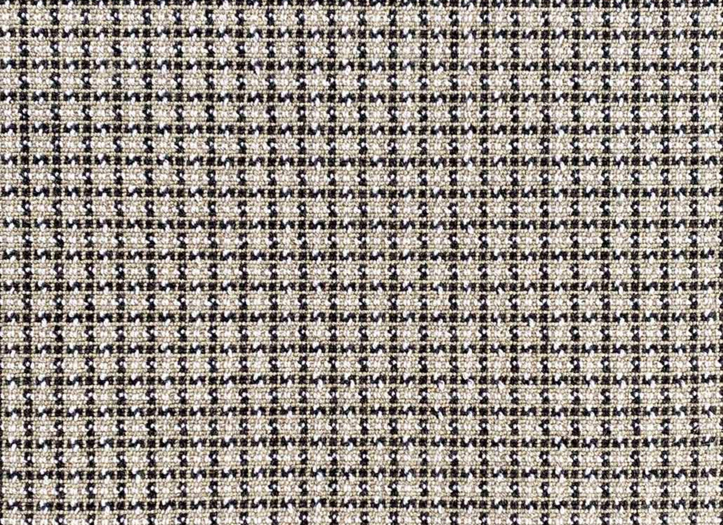 Wild n Wooly - Chalen