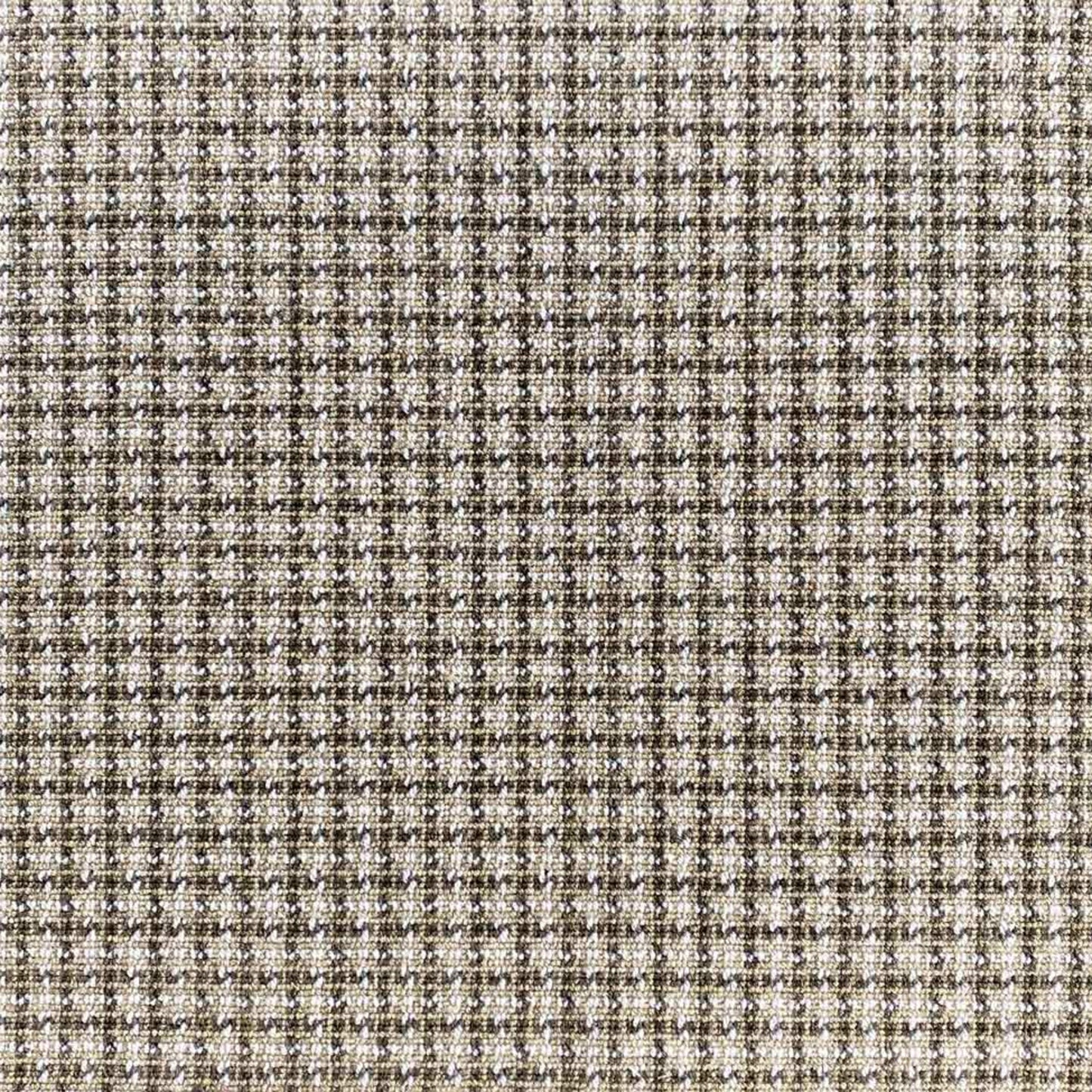 Wild n Wooly - Chalen