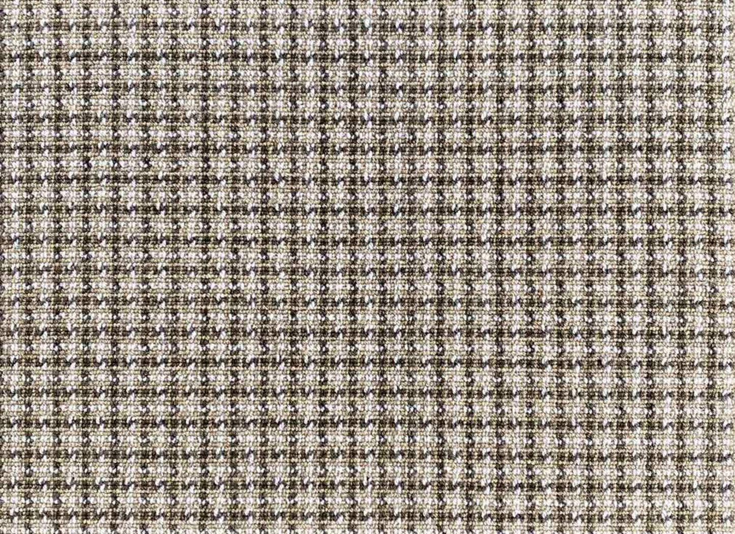 Wild n Wooly - Chalen