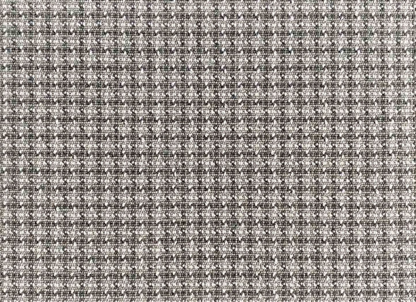 Wild n Wooly - Chalen