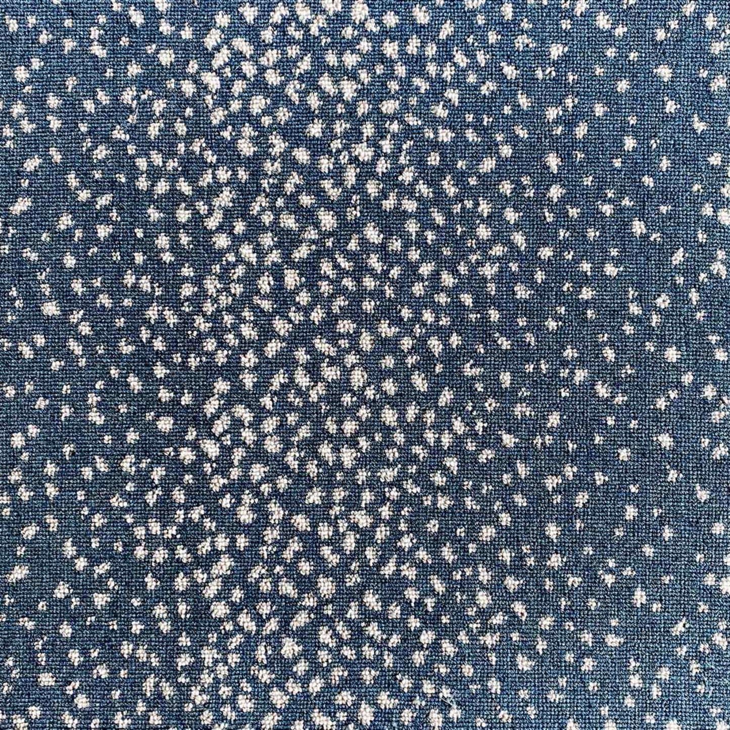 Wild n Wooly - Fawn in Blue Nile Carpet