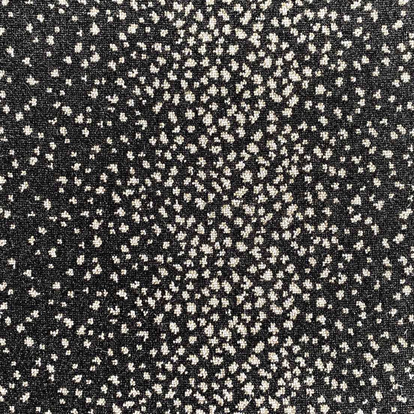 Wild n Wooly - Fawn