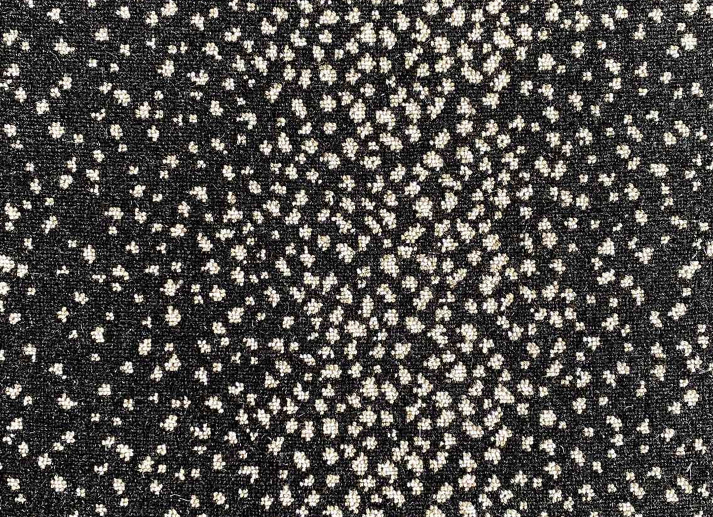 Wild n Wooly - Fawn