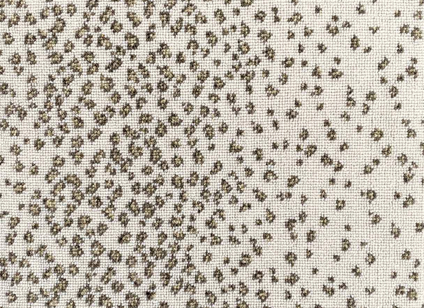 Wild n Wooly - Fawn