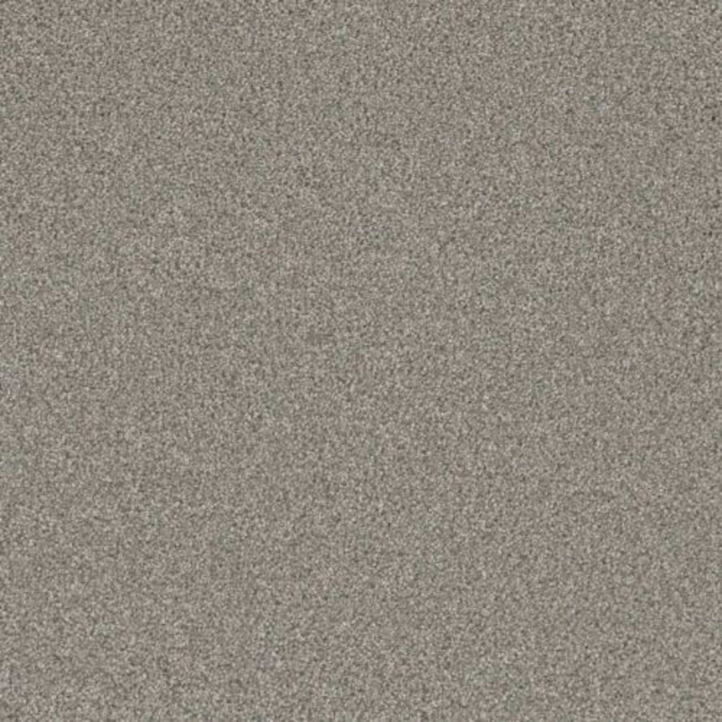 ROYALE I in Winterscape Carpet