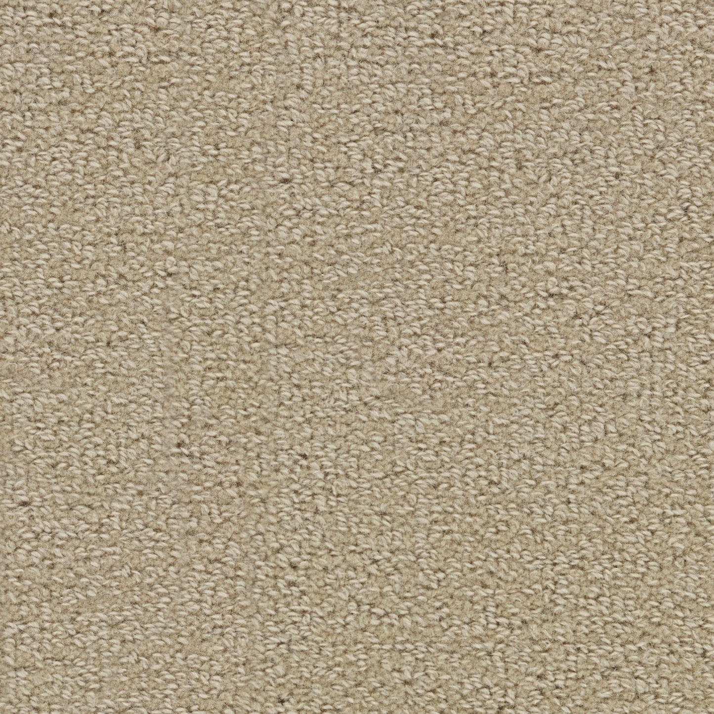 Wool Tip Shear Ii
