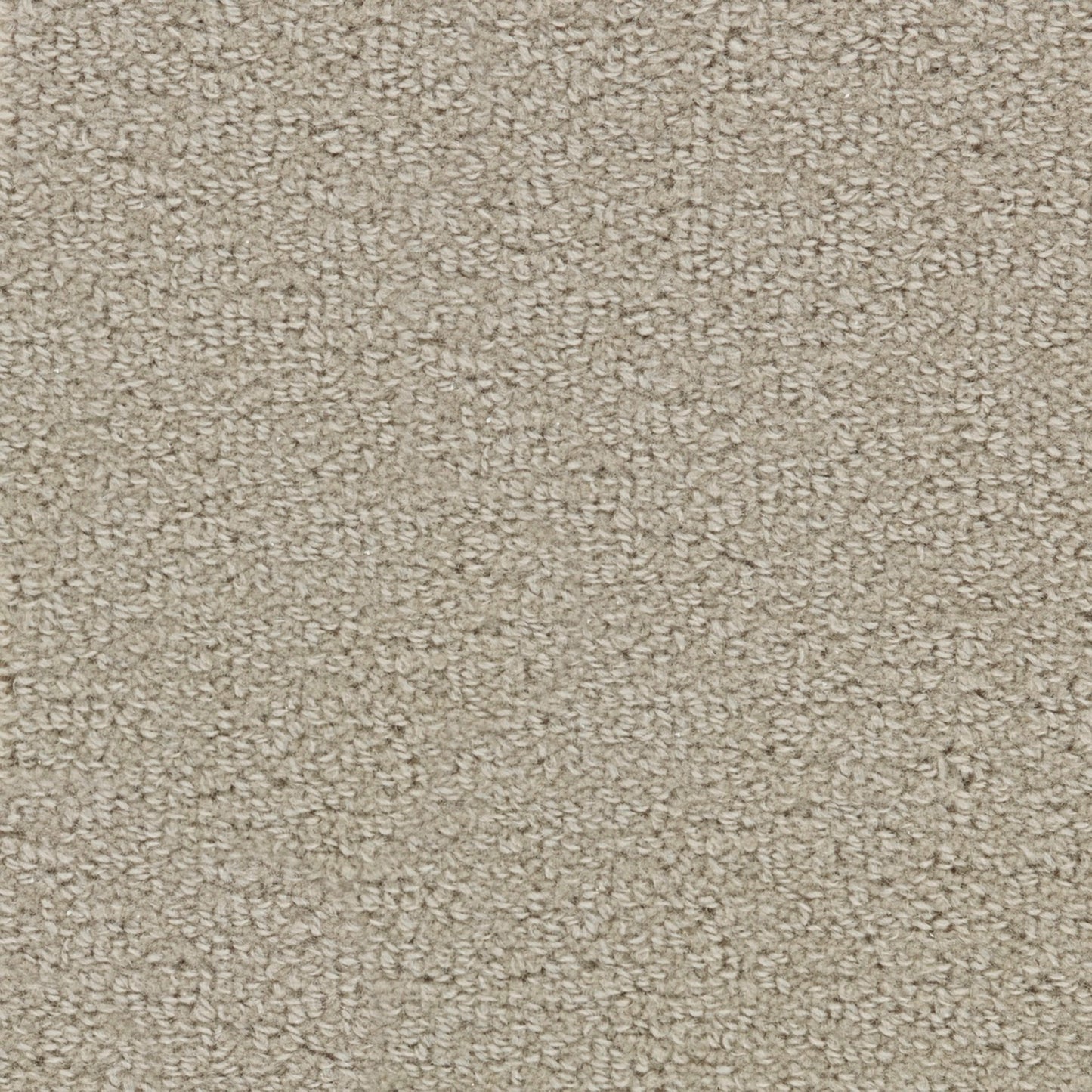 Wool Tip Shear Ii