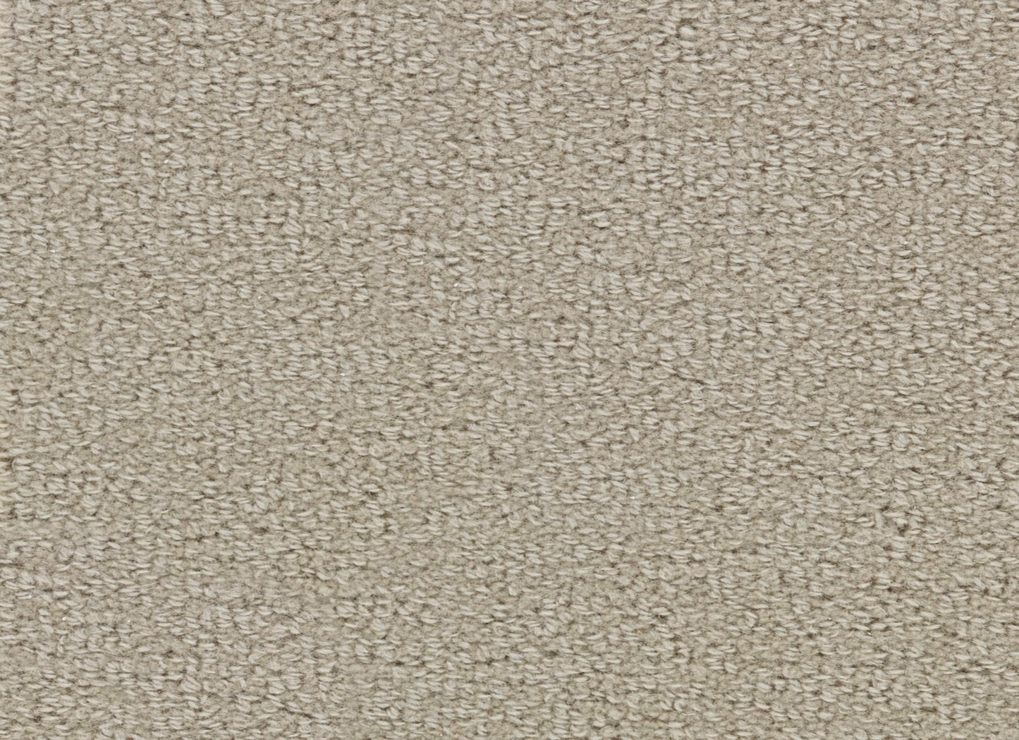 Wool Tip Shear Ii