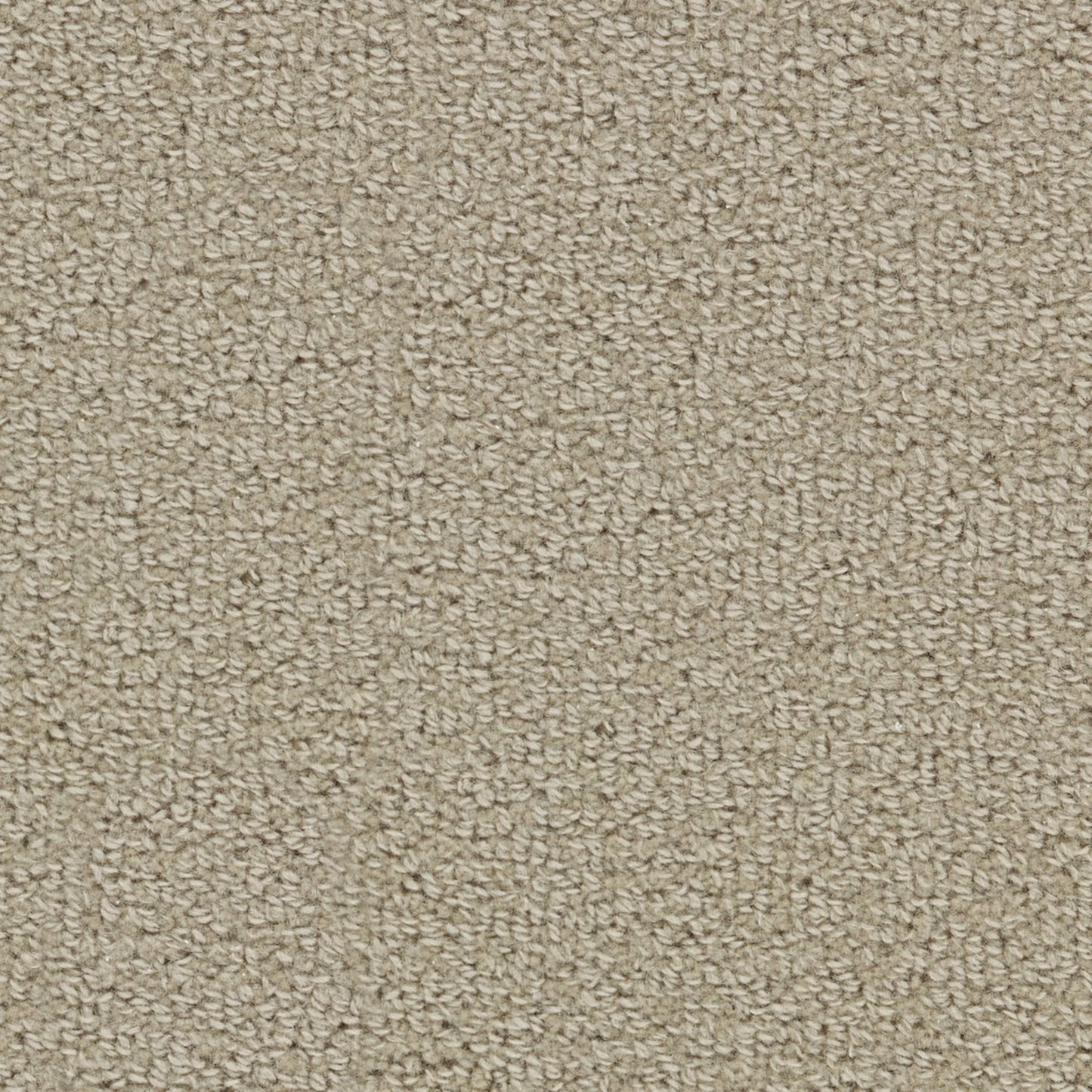 Wool Tip Shear Ii
