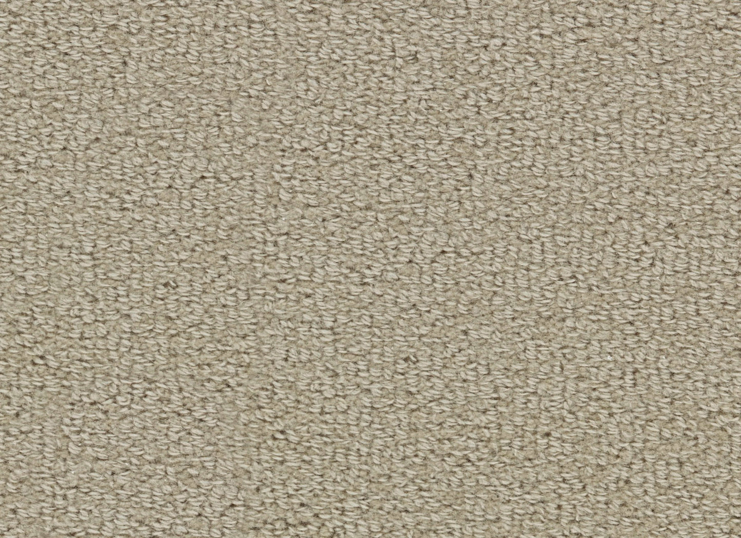 Wool Tip Shear Ii