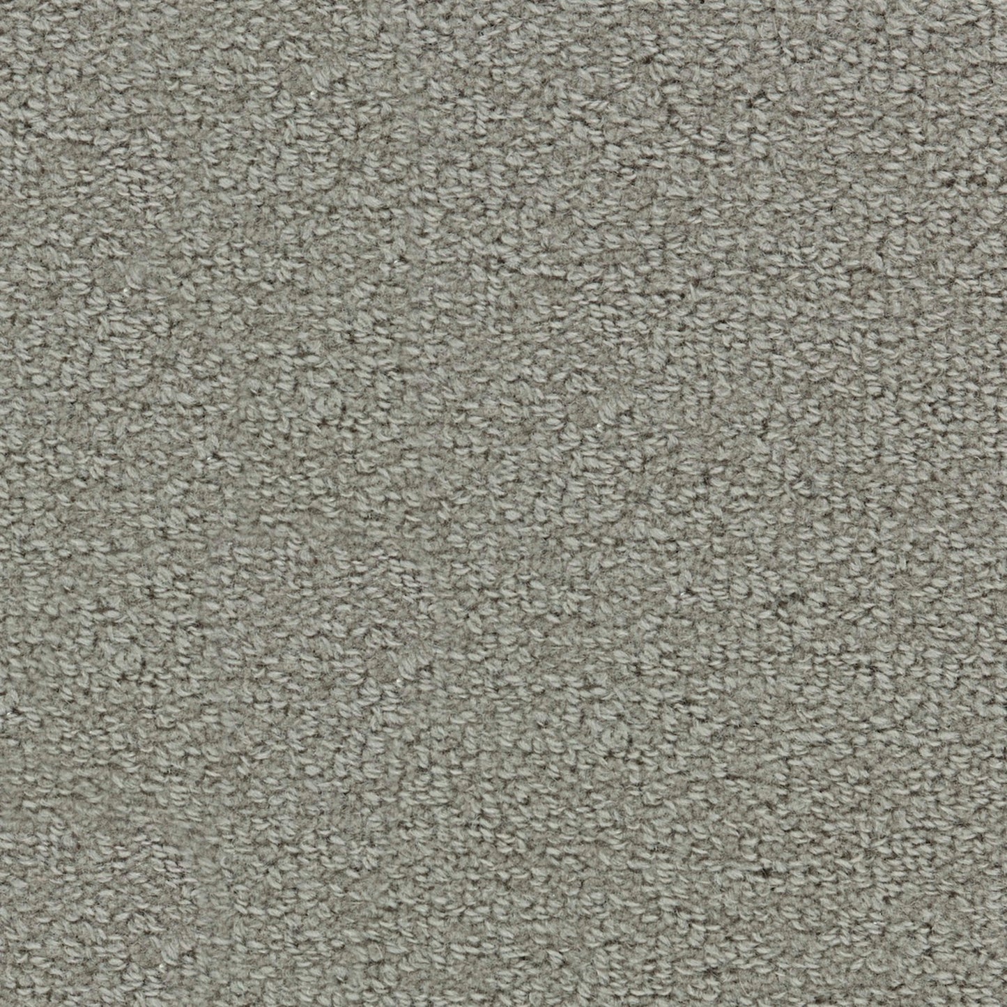 Wool Tip Shear Ii